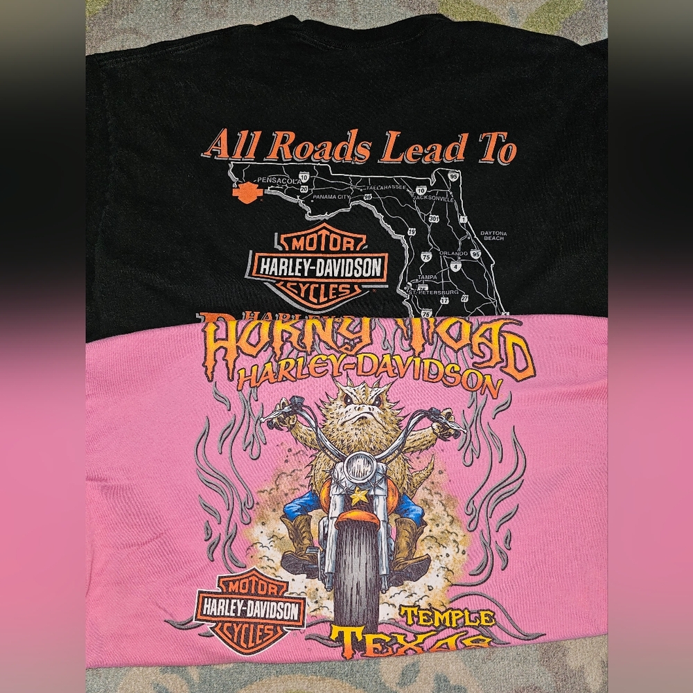 Lot Of 2 Harley Davidson Tshirts Vintage Pink Horny Toad 2018 Pensacola Size XL